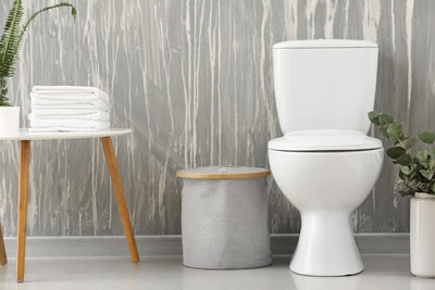 8 things you should never flush down the toilet