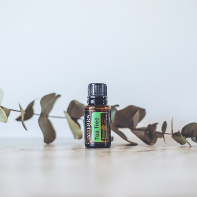 4 of the Best Uses for Tea Tree Oil