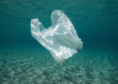 The Plastic Bag Ban. Will it Make a Difference?