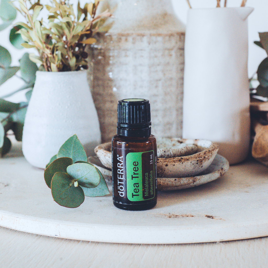 dōTERRA Tea Tree Essential Oil – All Pure Cleaning